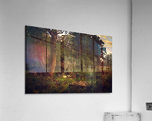 Landscape Acrylic Print