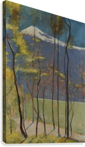 Spring on Lake Garda Canvas Print