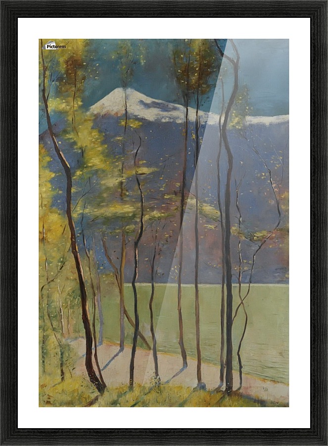 Spring on Lake Garda Picture Frame print