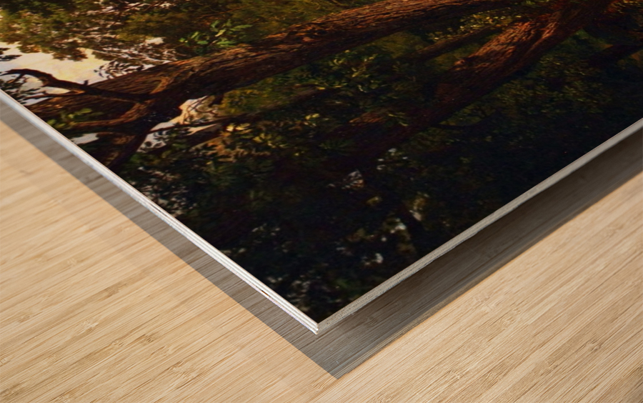 Landscape Wood print
