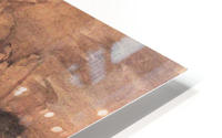 Prechtal HD Metal print