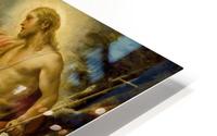 St. John the Baptist preaching HD Metal print