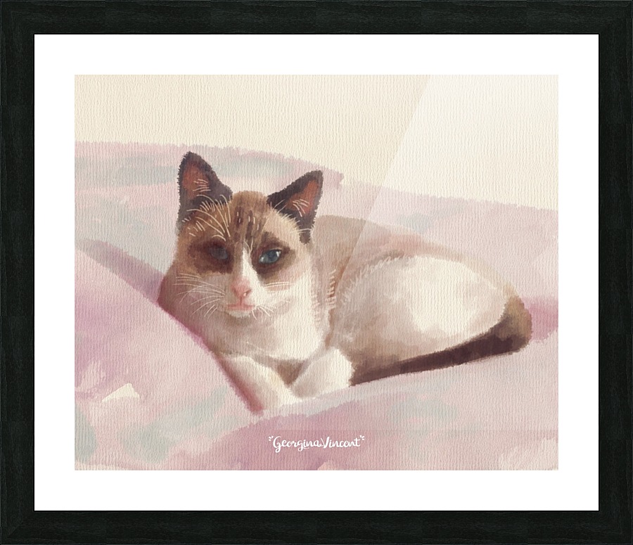 The lying Snowshoe Picture Frame print