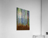Lines of tranquility Acrylic Print