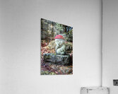 Soul guide Acrylic Print