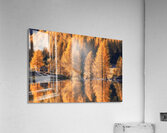 When Autumn Mirrors Acrylic Print