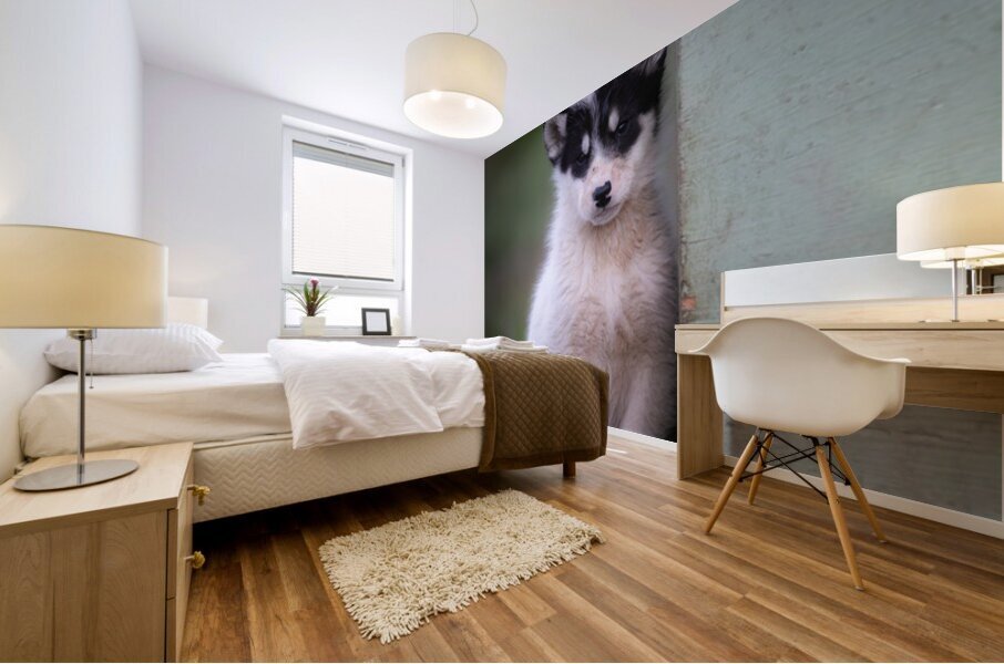 Shy puppy Mural print