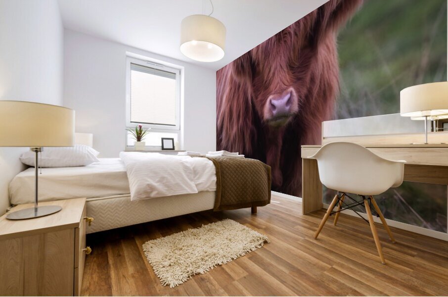 Highland cow Mural print