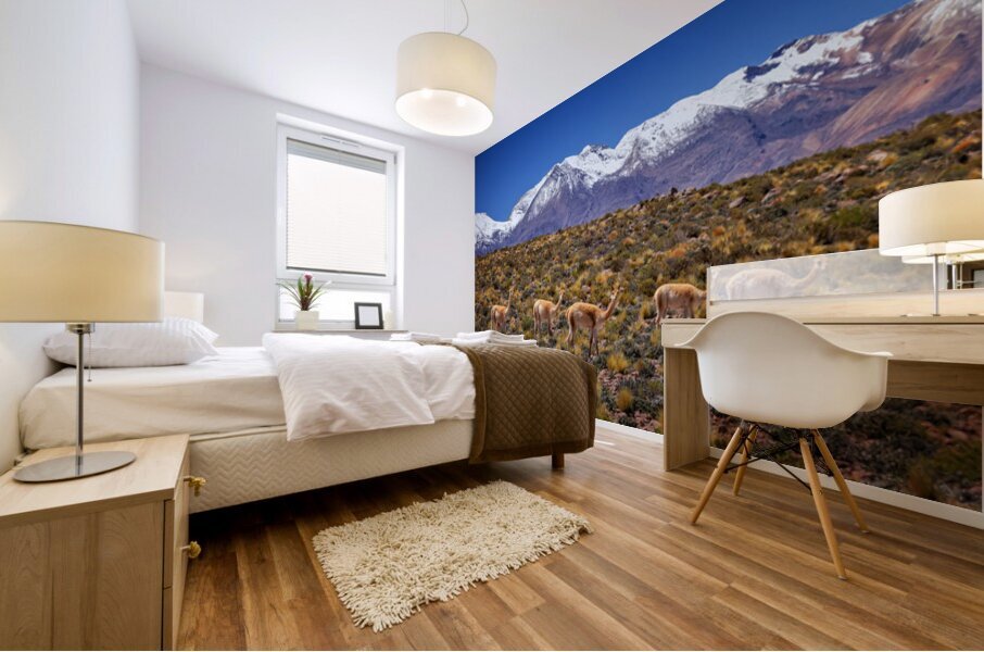 Camouflage Mural print