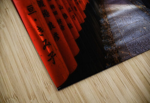 Sacred passage Impulsive Heart photography puzzle