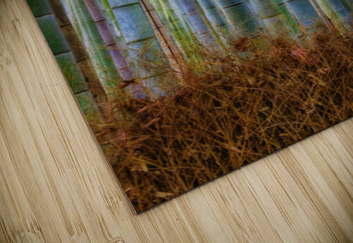 Lines of tranquility Impulsive Heart photography puzzle