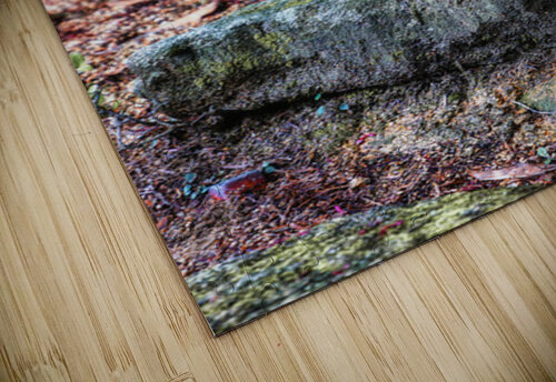 Soul guide Impulsive Heart photography puzzle