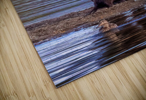 Wild serenity Impulsive Heart photography puzzle