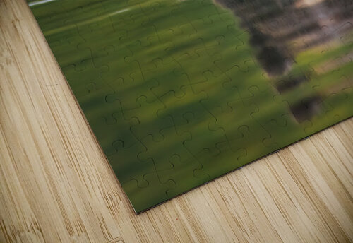 Quiet drift Impulsive Heart photography puzzle