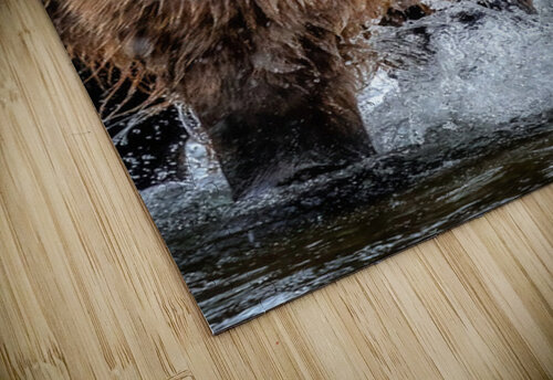 Instinct Impulsive Heart photography puzzle