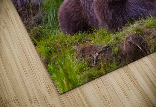 Peace in Fur Impulsive Heart photography puzzle