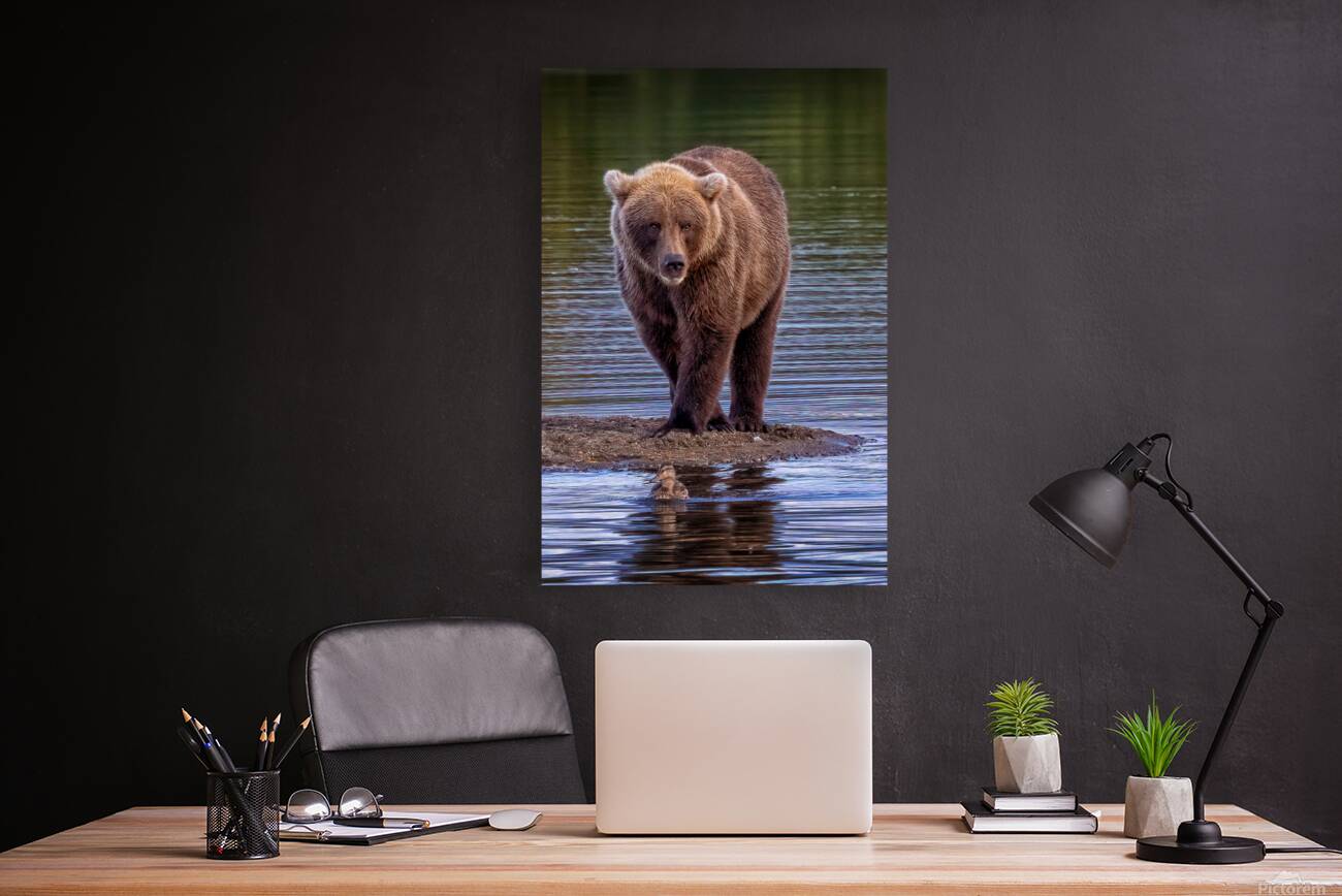 Wild serenity Reproduction