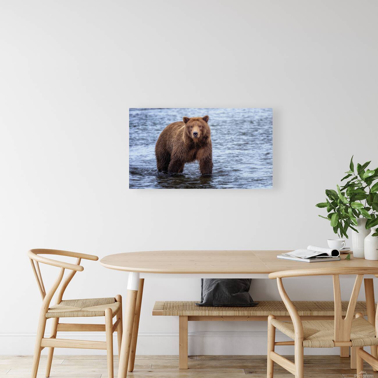 Gentle Giant Reproduction