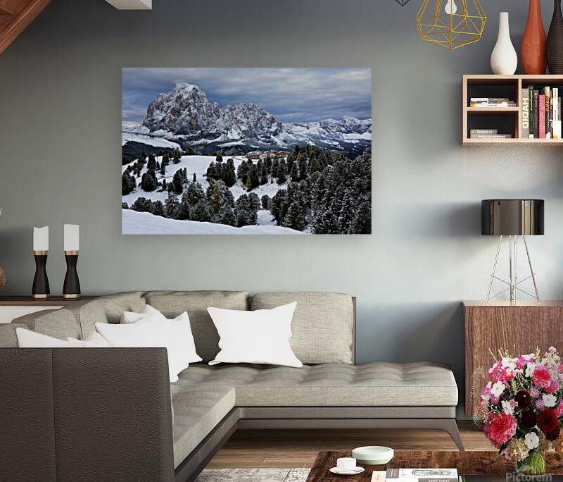 Snow and Timber Reproduction