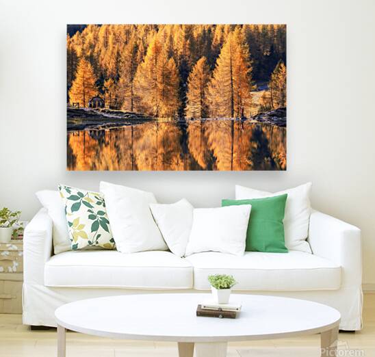 When Autumn Mirrors Reproduction