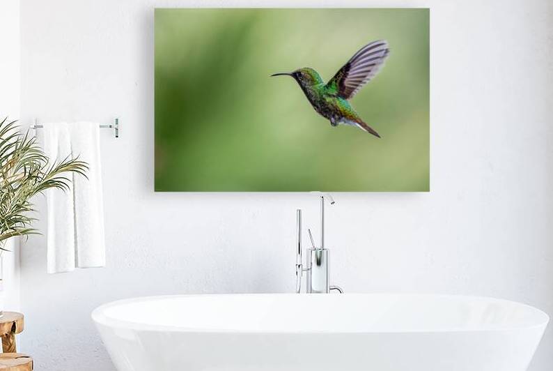 Hovering Emerald by Impulsive Heart photography