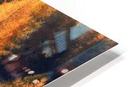 When Autumn Mirrors HD Metal print