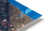 Win your Salvation HD Metal print