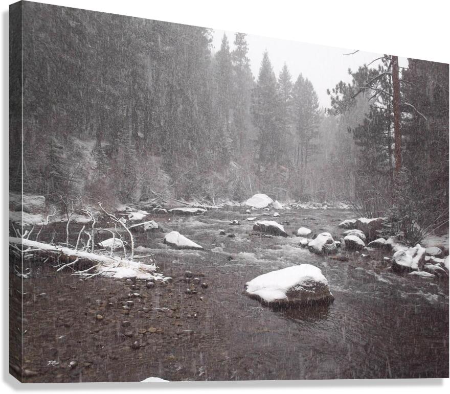 Snowy River 1 Canvas Print
