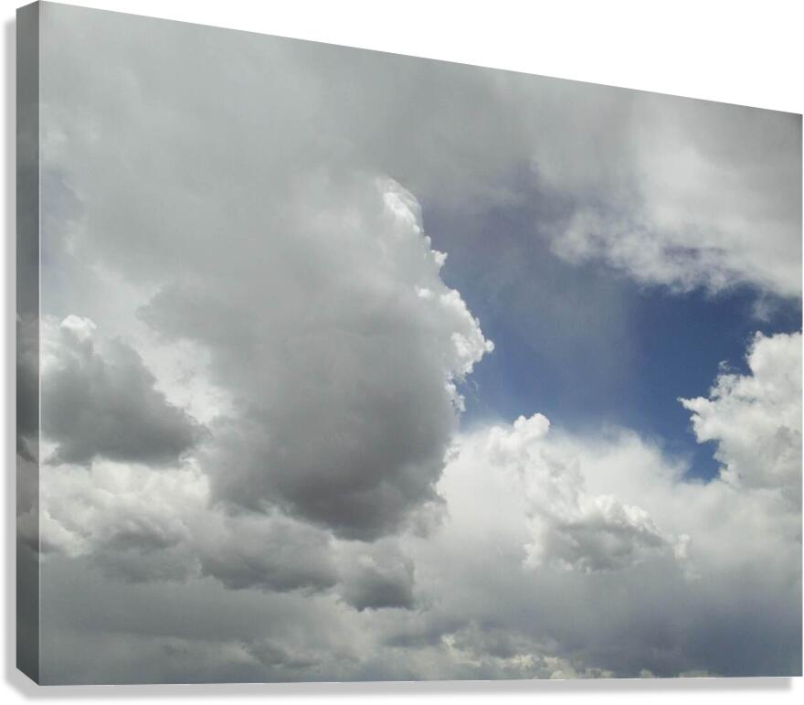 Head in the Clouds 1 Canvas Print