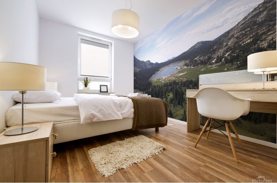 Lawn Lake RMNP 1 Mural print