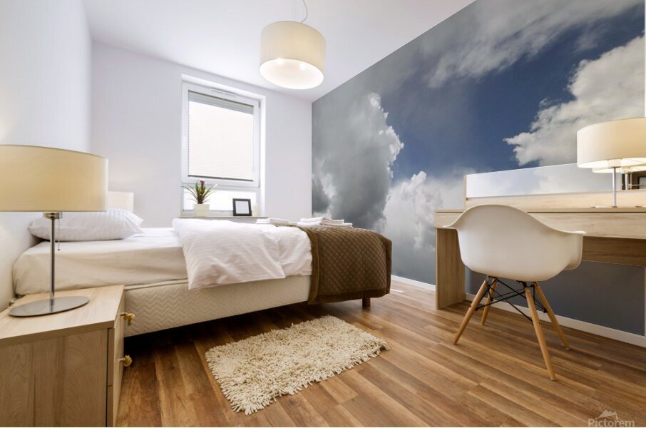 Head in the Clouds 1 Mural print