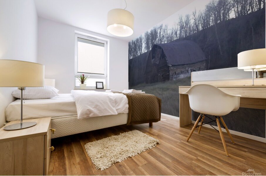 Old Barn 1 Mural print