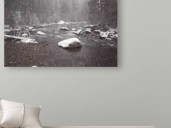 Snowy River 1 Reproduction