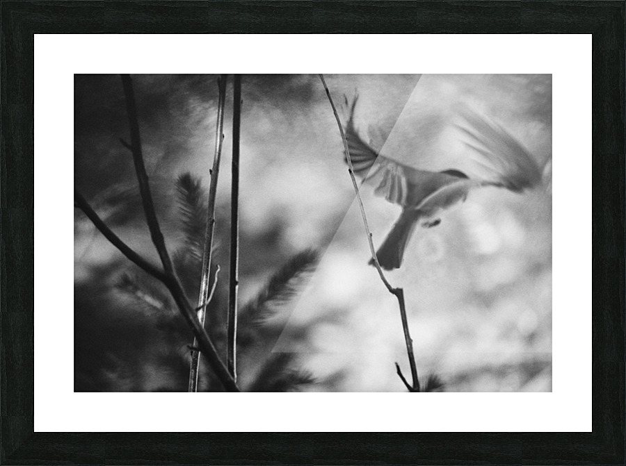 Fusain Picture Frame print