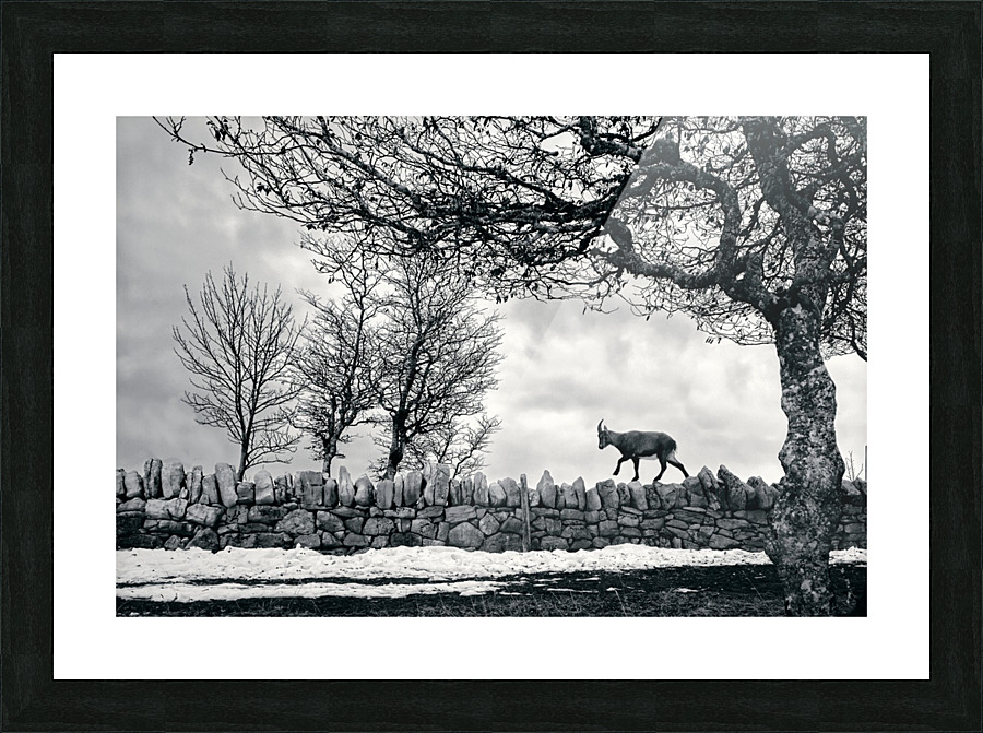 Rock you path Picture Frame print