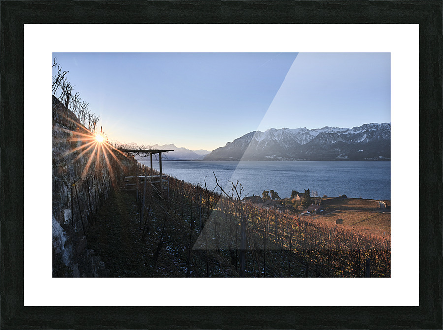 Sunset in Lavaux Picture Frame print