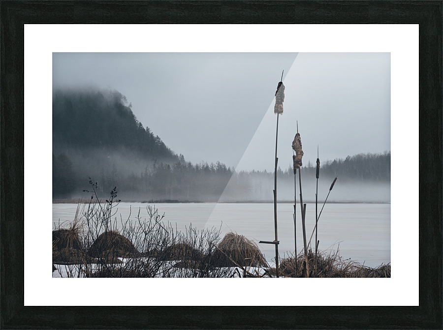 Quenouilles Picture Frame print