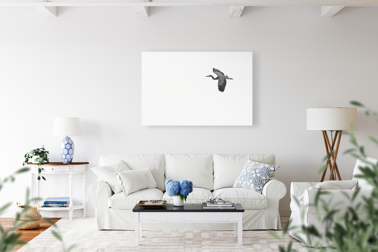Grand heron Reproduction