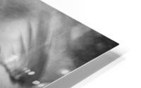 Fusain HD Metal print
