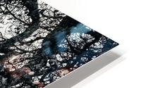 Rock you path HD Metal print