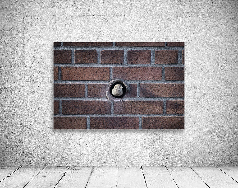 Ptit oiseau Wall Preview