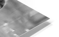 Rusty: Black and White HD Metal print