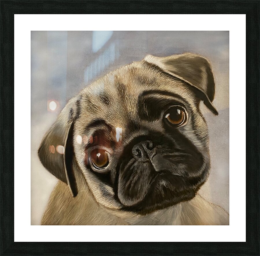 Sweet Pug  Picture Frame Printing