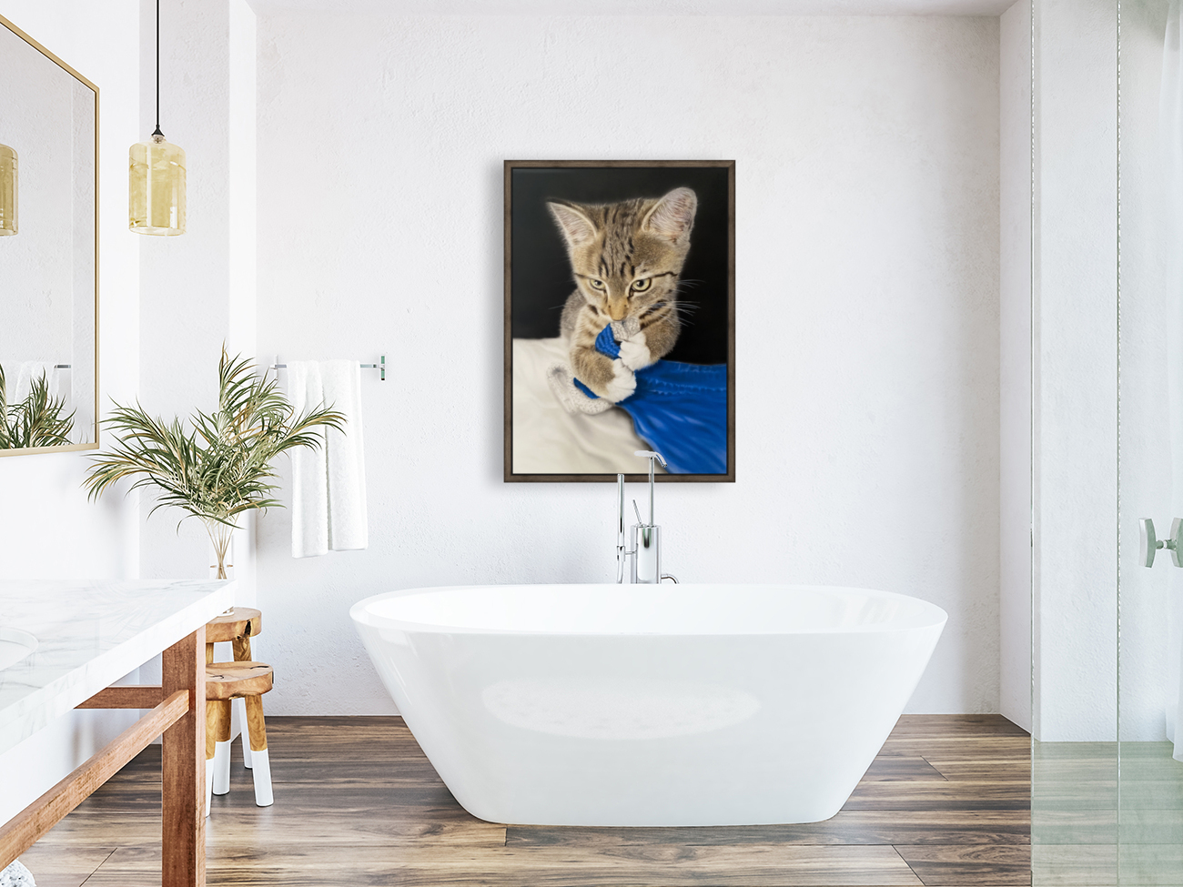 Kitten Luano Reproduction