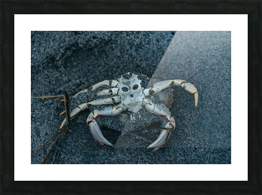Crabby Face Picture Frame print