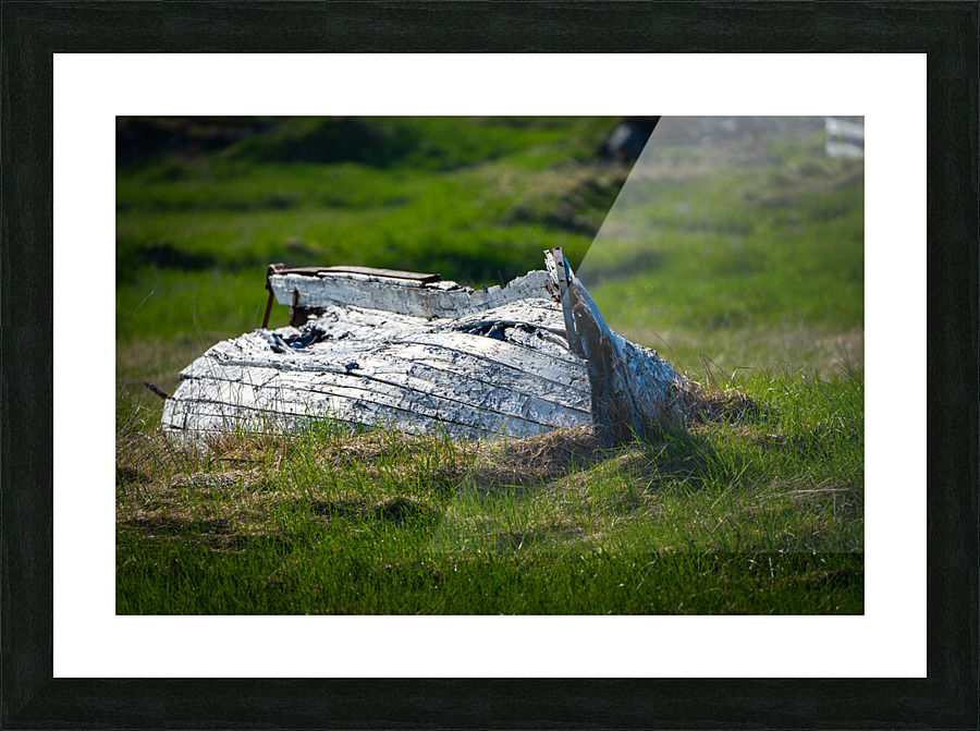 Old Bones Picture Frame print