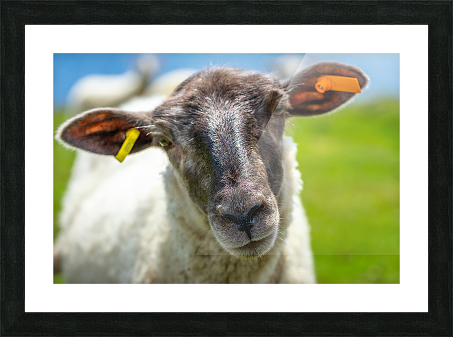 Hello Picture Frame print