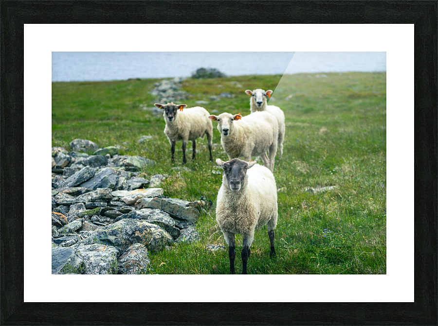 Who Me Picture Frame print