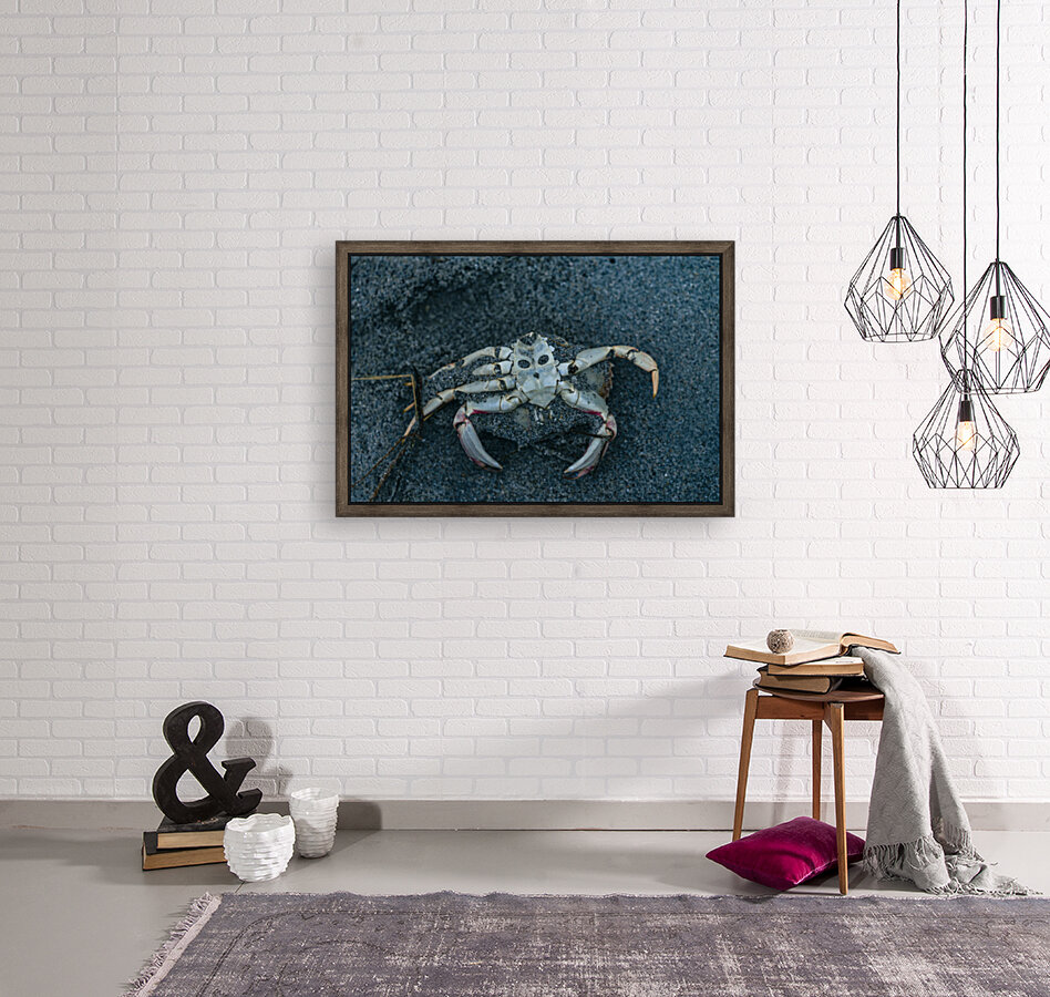 Crabby Face Reproduction