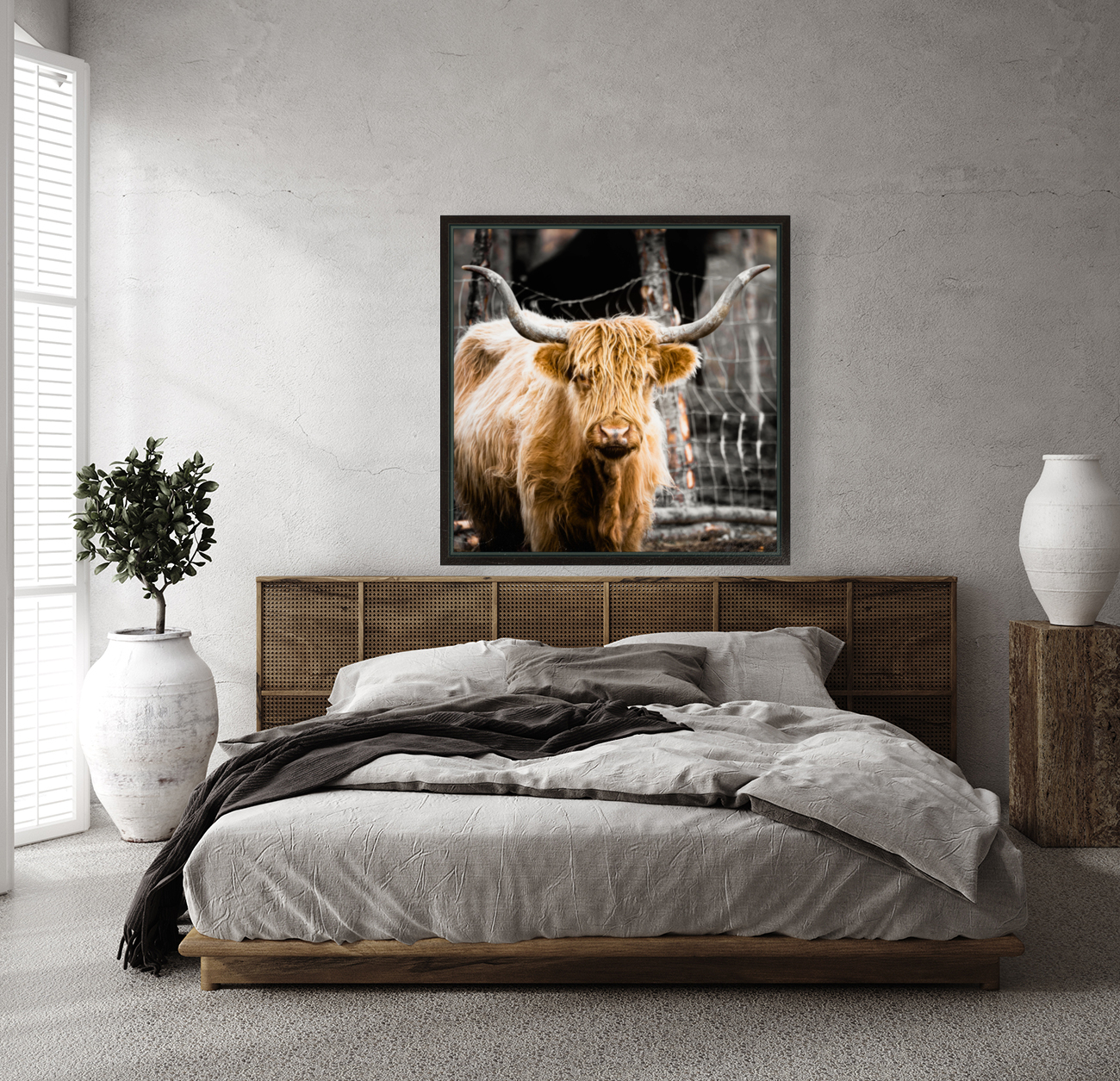 Highland Cow Reproduction